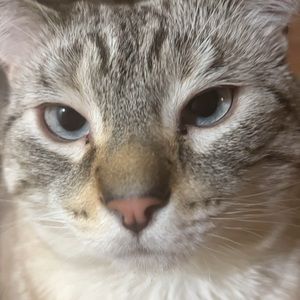 Meet your Posher, Isabella